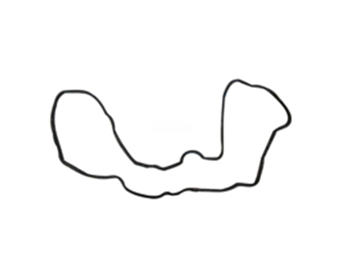 JUNTA CARCACA VALVULA (2R0109139A)