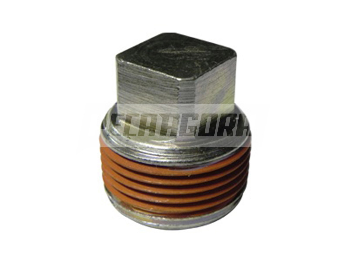 BUJAO ABASTECIMENTO OLEO CÂMBIO FS5205A FS6306A FS6306B FSO6406A FORD 14190 172