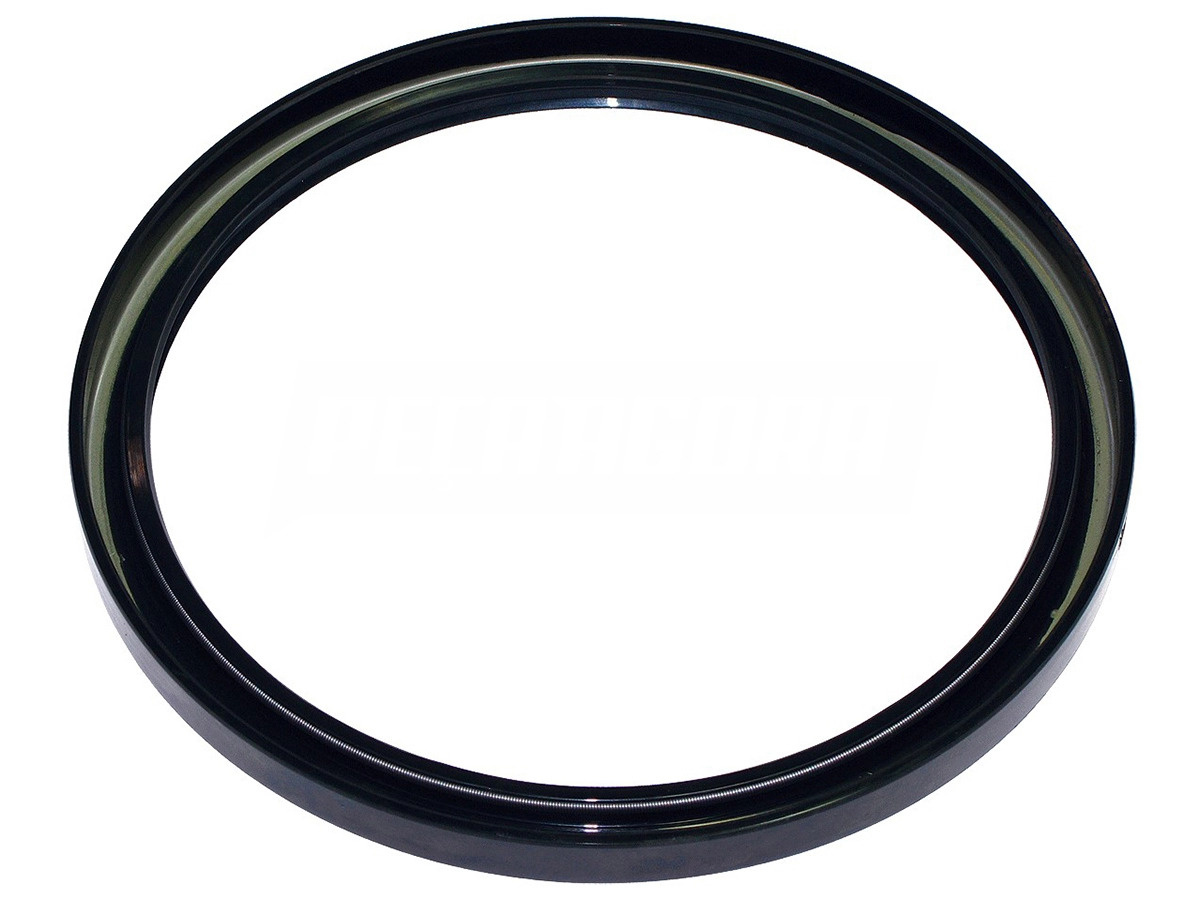 RETENTOR CUBO RODA BISELLI PARA SCANIA B75 B76 110 220X190X14,5MM TRASEIRO INTER