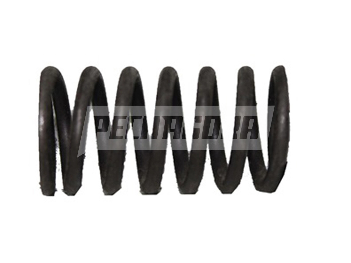 MOLA DA VALVULA MOTOR VW 5.140 8.150 (062109623)