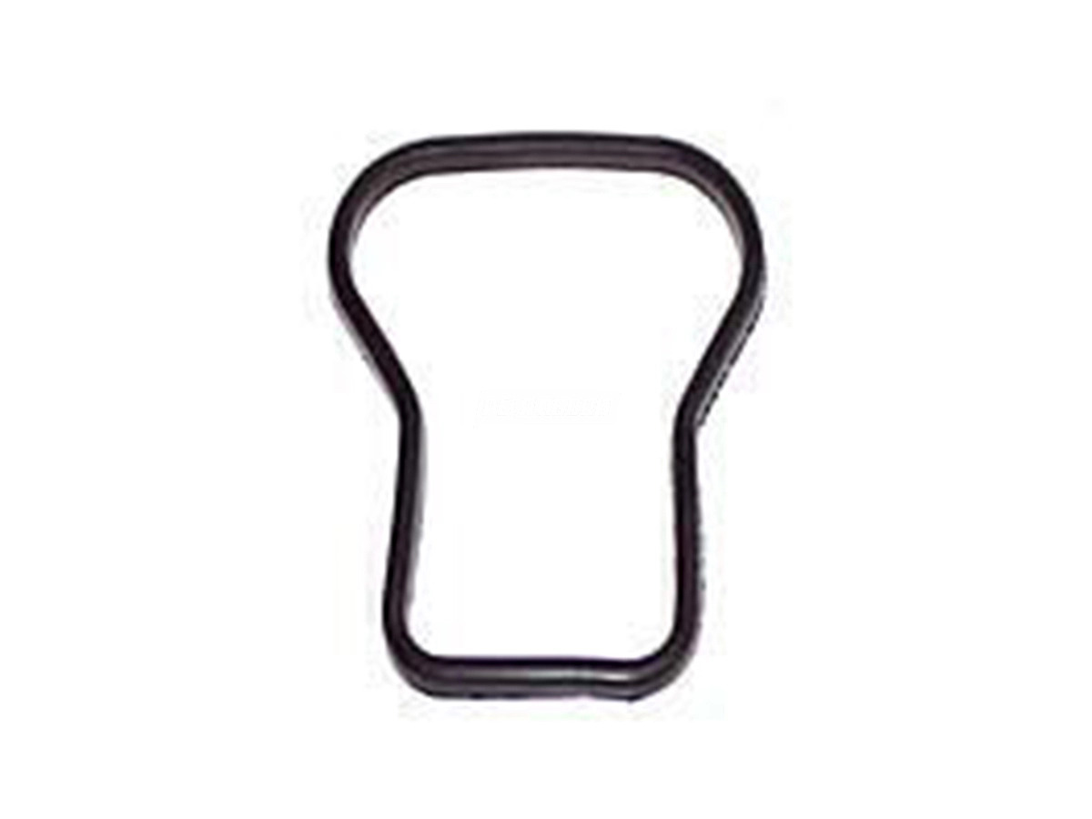 JUNTA TAMPA VALVULA PRETA (TAE103483,)