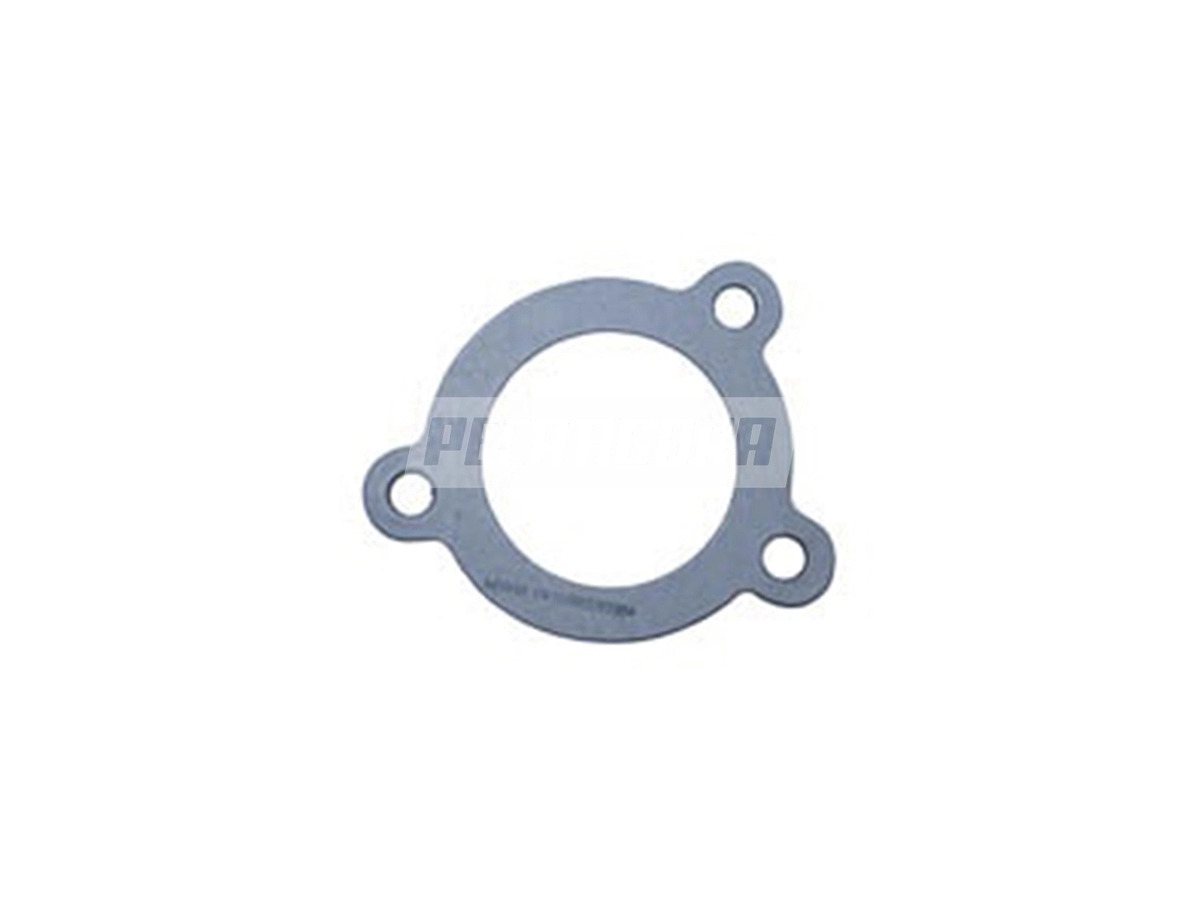 JUNTA TUBO LATERAL BLOCO (2R0121669A)