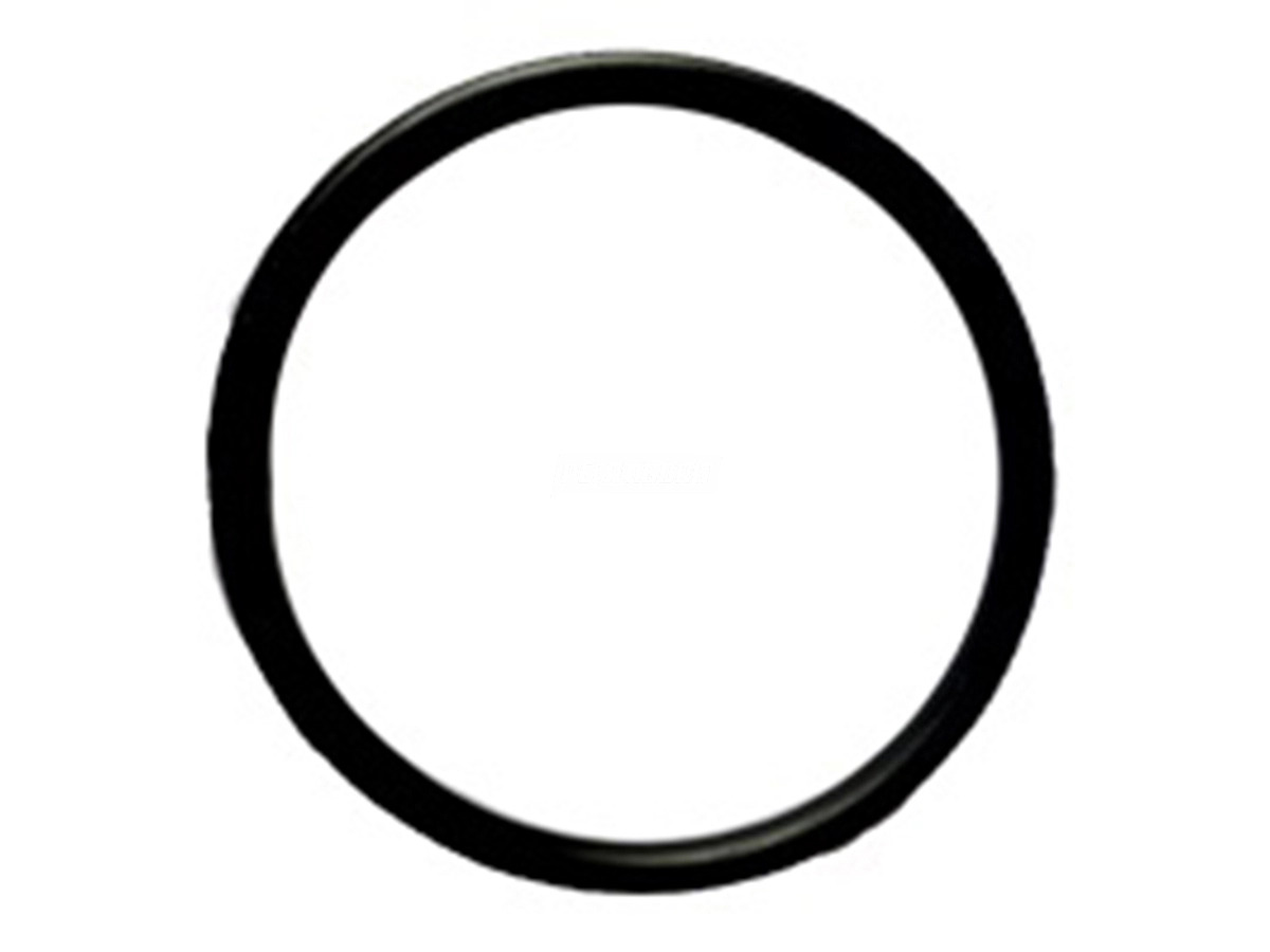 ANEL VALVULA TERMOSTATICA 60,00X4,2MM MAN D0834 4 CIL 190CV CONSTELATION 13190 1