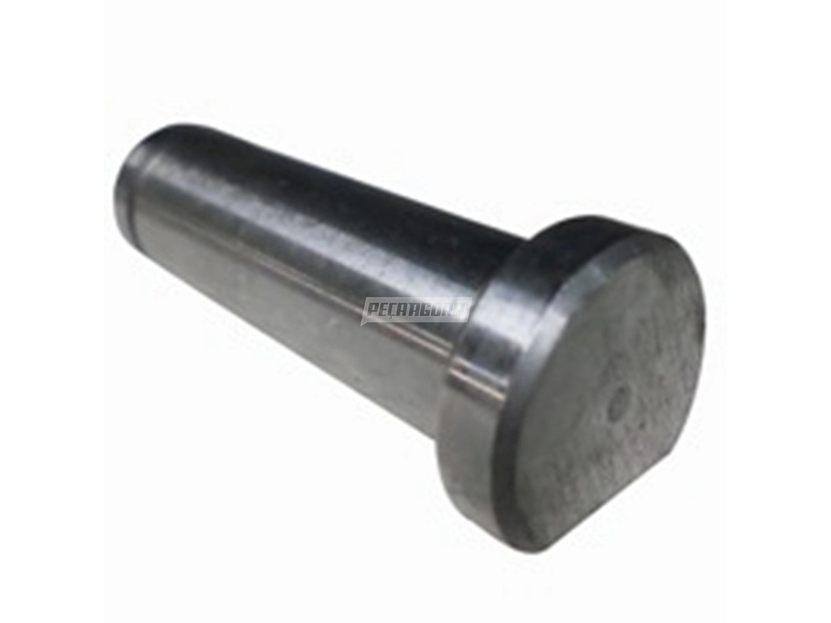 PINO ROLDANA RODOVIARIA 15,8MM X ALTURA 58MM X CABECA 21,5MM (2128)