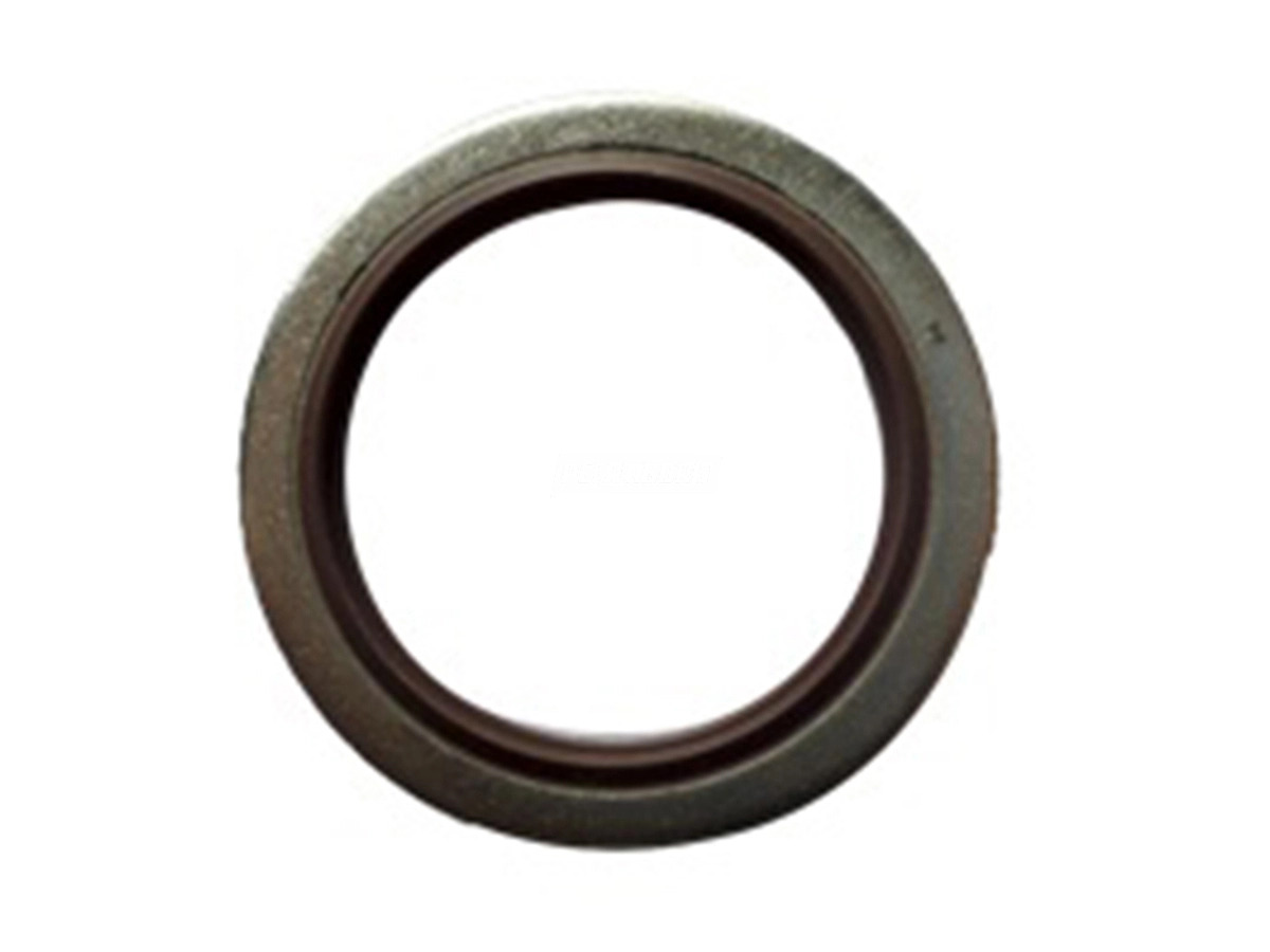 BUJAO CARTER OLEO MOTOR (07W121589E.)