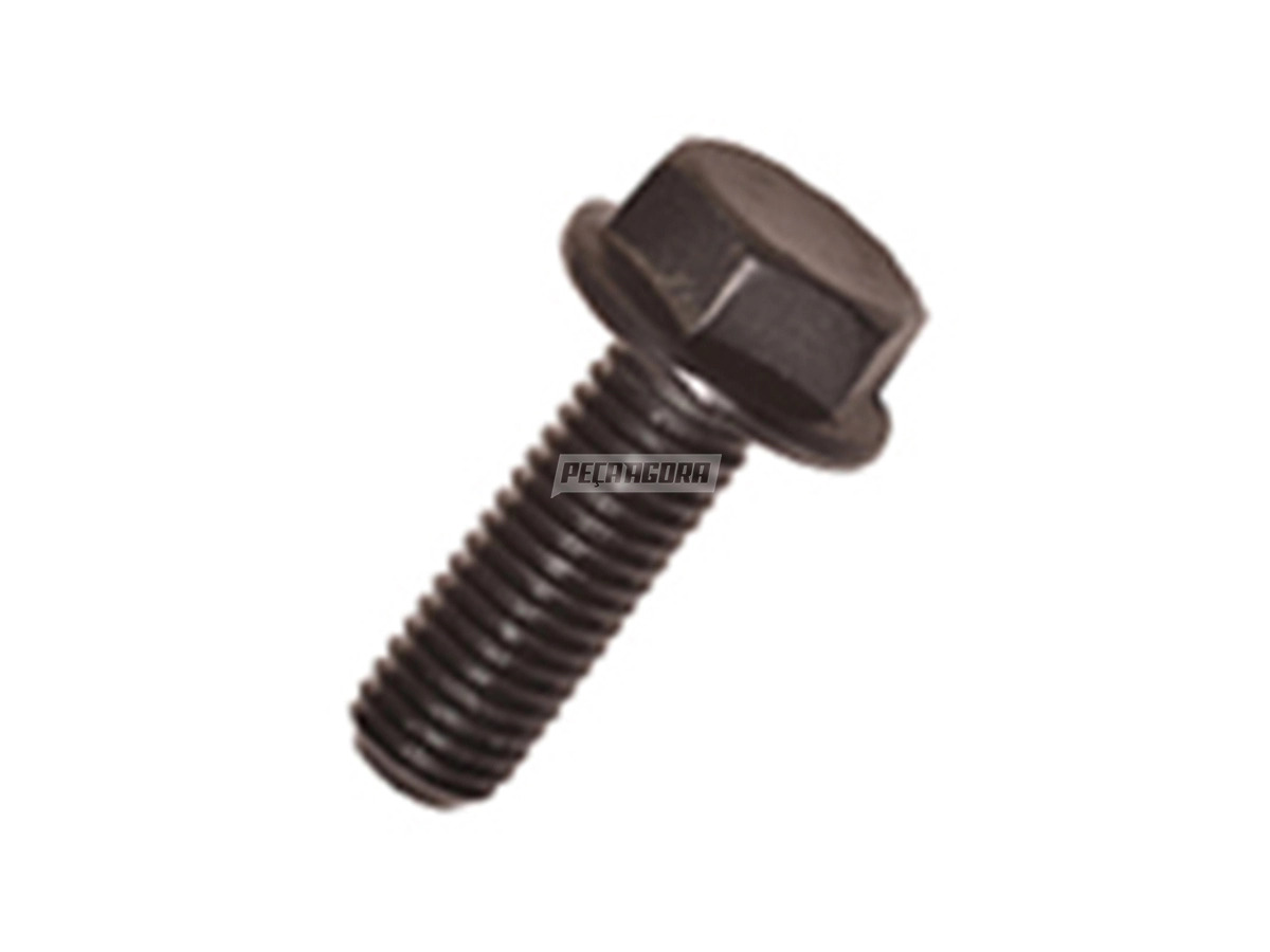 PARAFUSO COLETOR ADMISSAO 10X30MM MOTOR MB OM 457LA
 (910105010001)