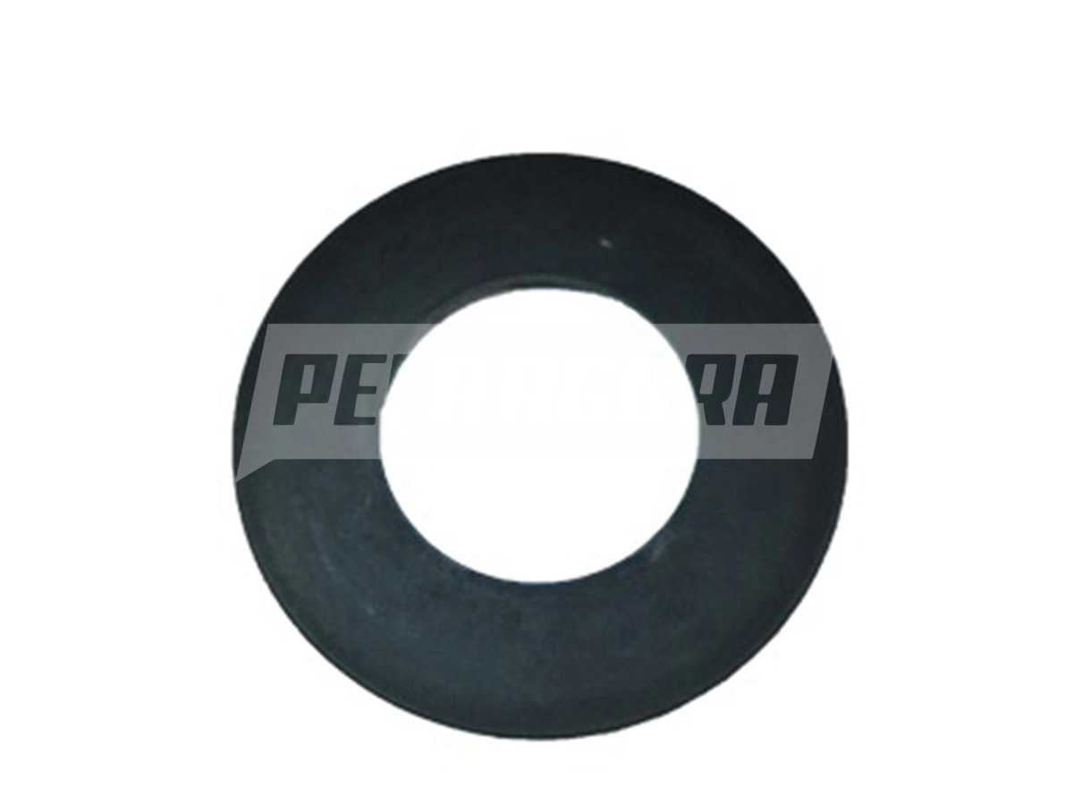 ARRUELA TL7525189 (TL7525189.)