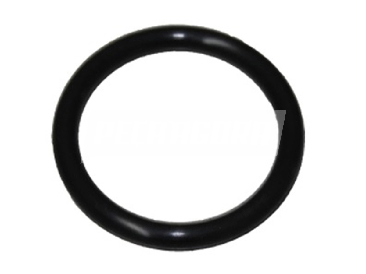 VEDADOR GUARDA PO SISTEMA BLOQUEIO DIFERENCIAL U180 VW 25370 PARA IVECO STRALIS 