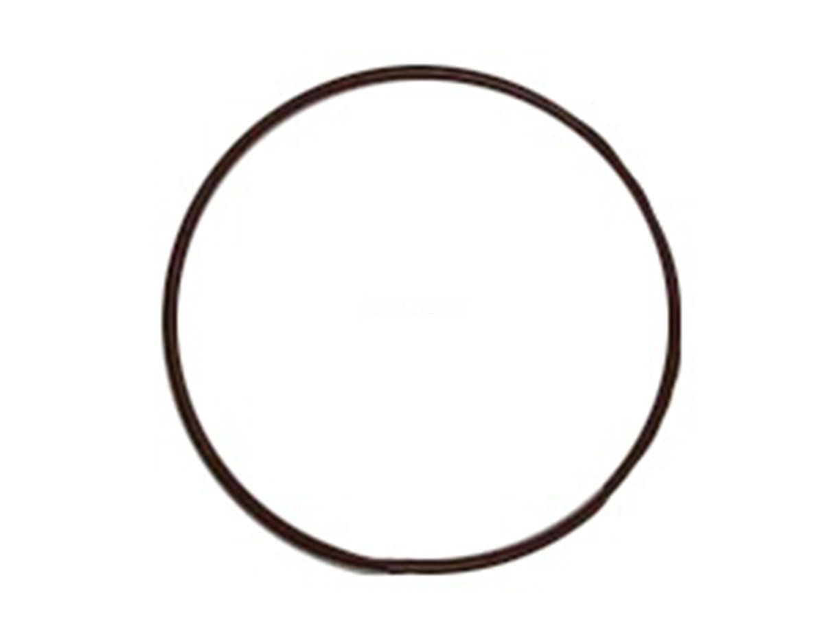 ANEL ORING BOMBA DAGUA PARA IVECO STRALIS TRAKKER (17292081)