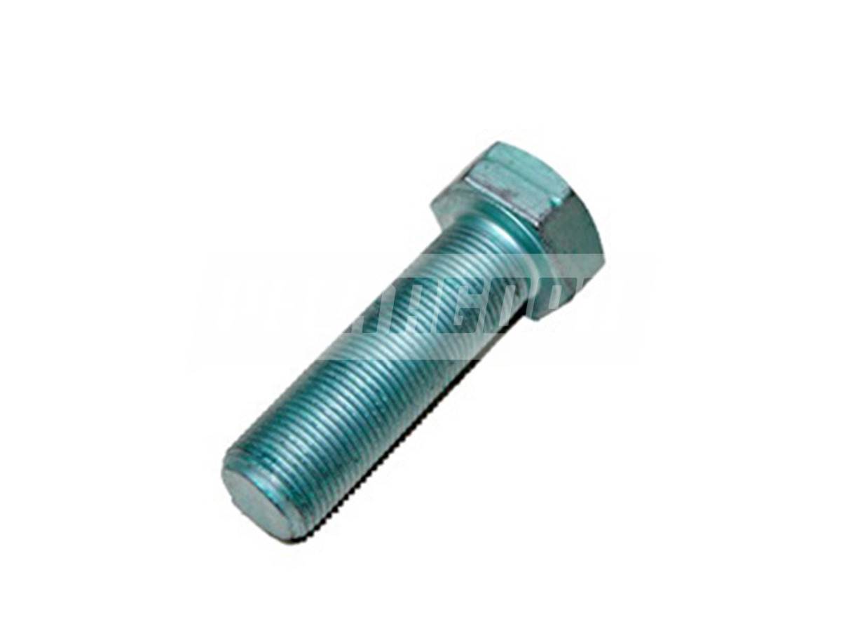 PARAFUSO (2VF899129.)