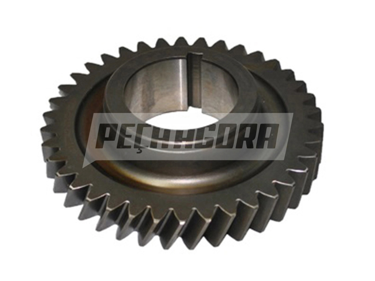 ENGRENAGEM DA 5A INFERIOR FIXA FS6206 FS5106 FORD VW  (TE3311443,)