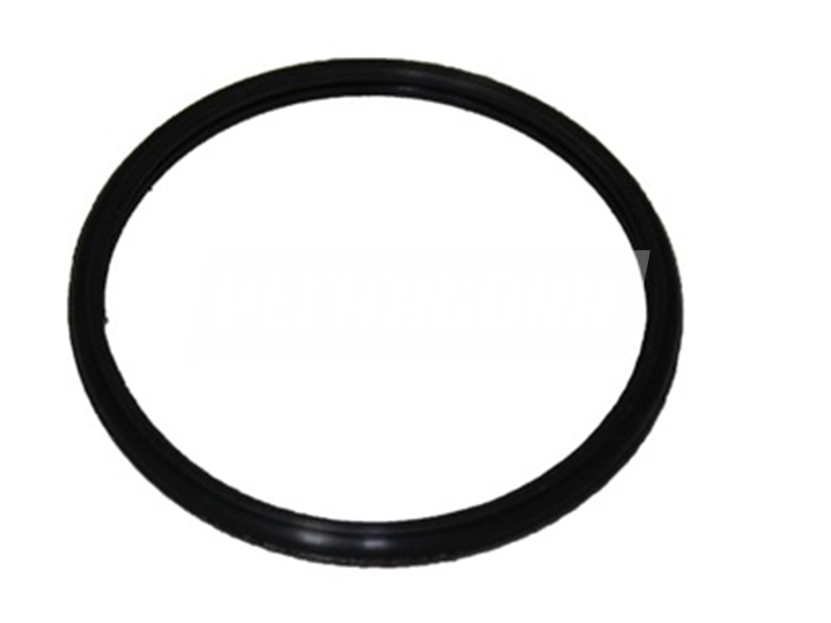 SELO DO TERMOSTATO MOTOR CUMMINS ISF 2.8L 3.8L F350 F4000 2014 DIANTE MOTOR CUMM