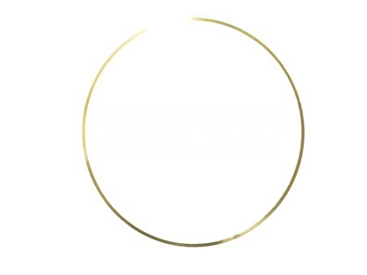 CALCO CAMISA CILINDRO MOTOR MWM 370CV 9.3 INTERNACIONAL 0,25MM VW 19.370 25.370E