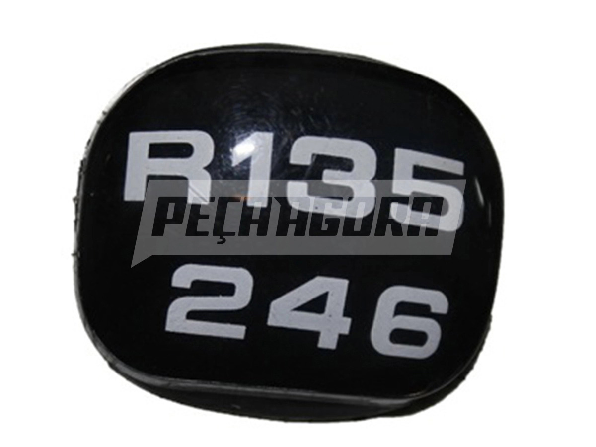 INSERTO INDICADOR MARCA R/6 (6012004098009)