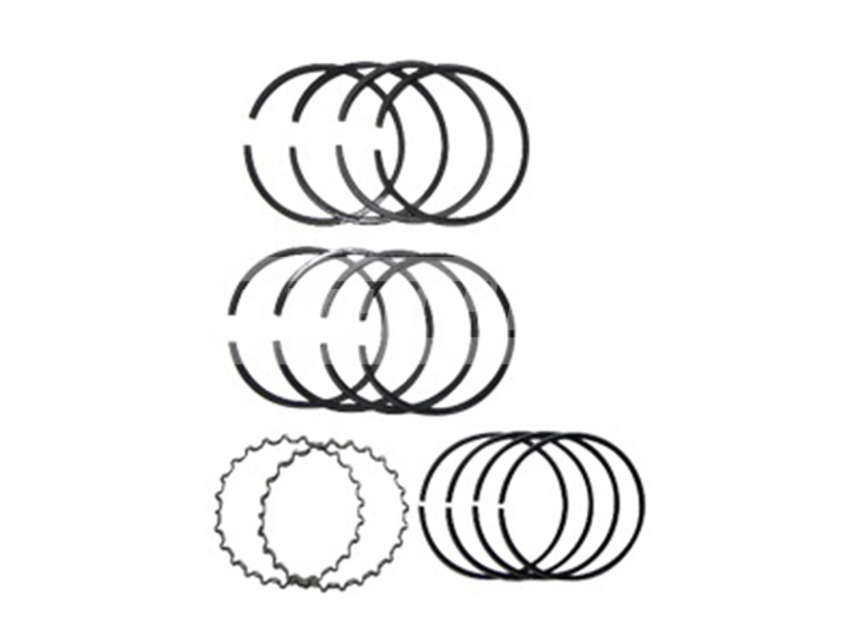 JG.ANEL 010 COMPR.VARGA 2CC ANTIGO VARGA RRAN00031 (04183854)