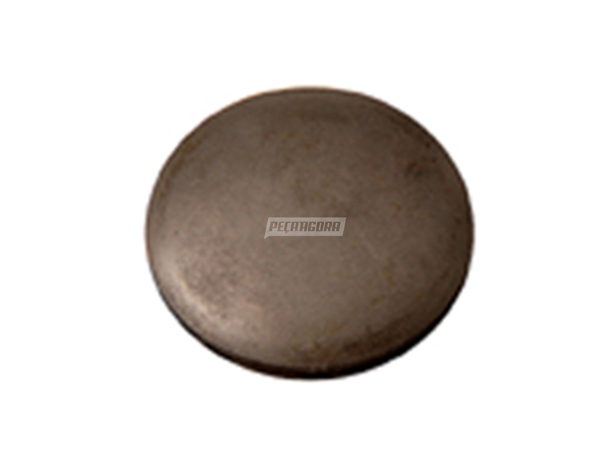 BUJAO ROSCADO ACO CÂMBIO RT11710 RT7608LL RT8609 RT9509 RT9513 FORD CARGO 2422 