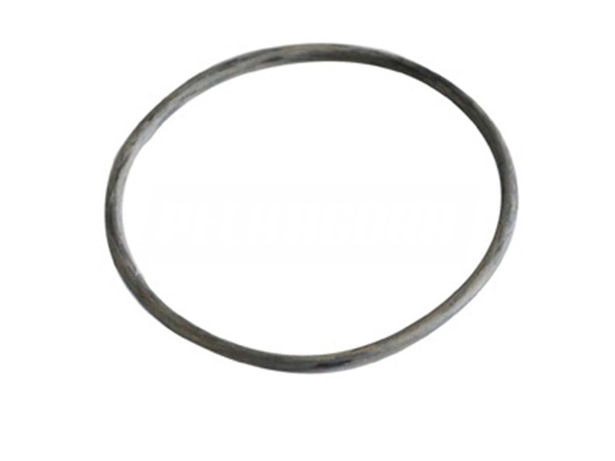 ANEL ORING VEDACAO BOMBA DAGUA VW DELIVERY 5140E 8150E 2005 A 2016 (2P0121041)